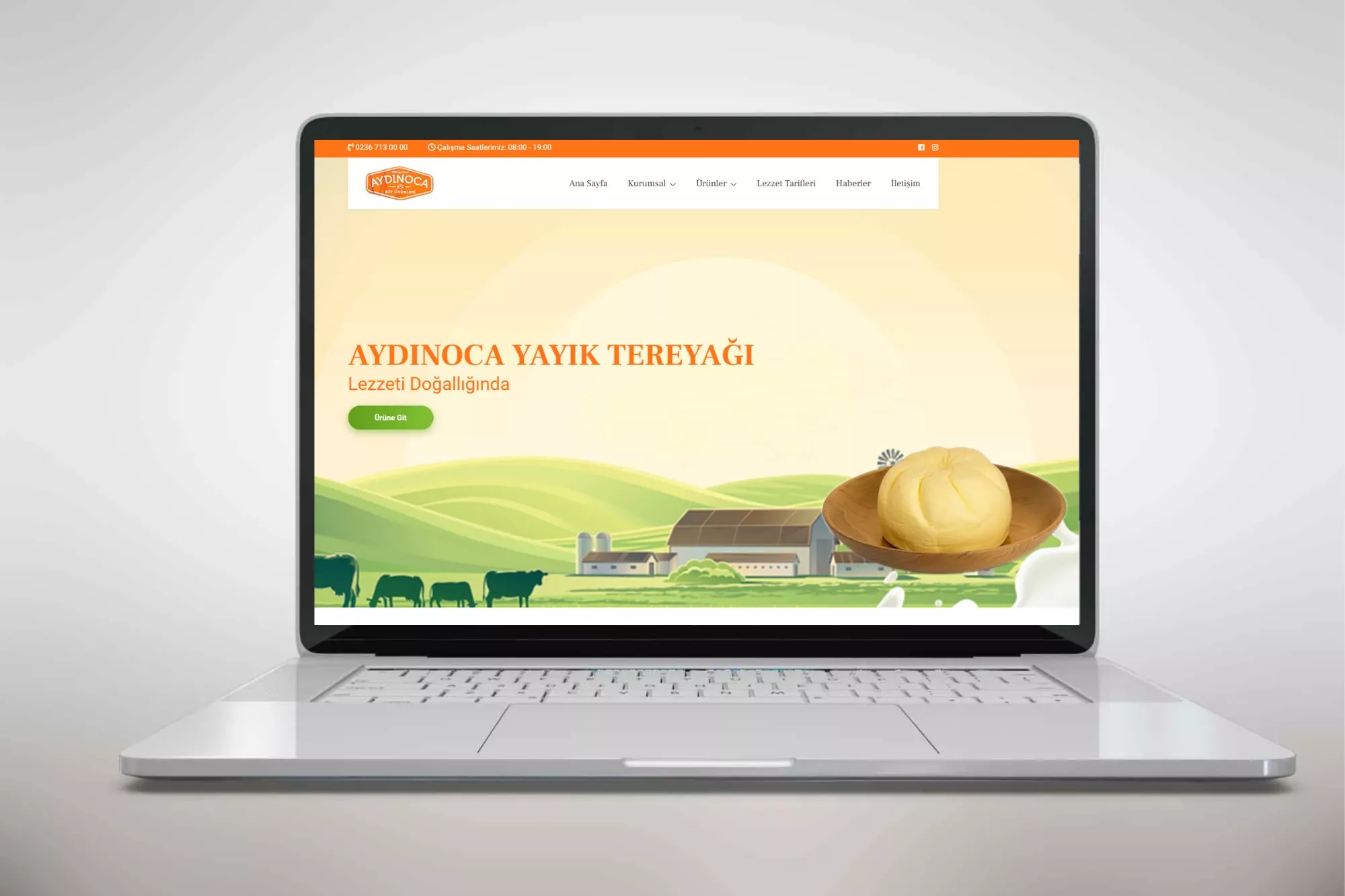 Cns Süt ürünleri V1